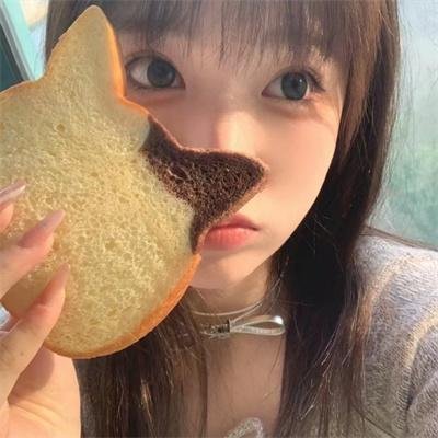 键盘猫